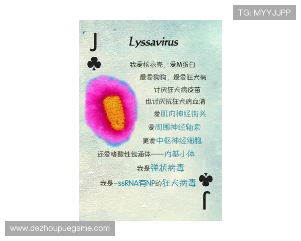 立即注册体验高清流畅的21点扑克牌在线玩免费试玩优惠